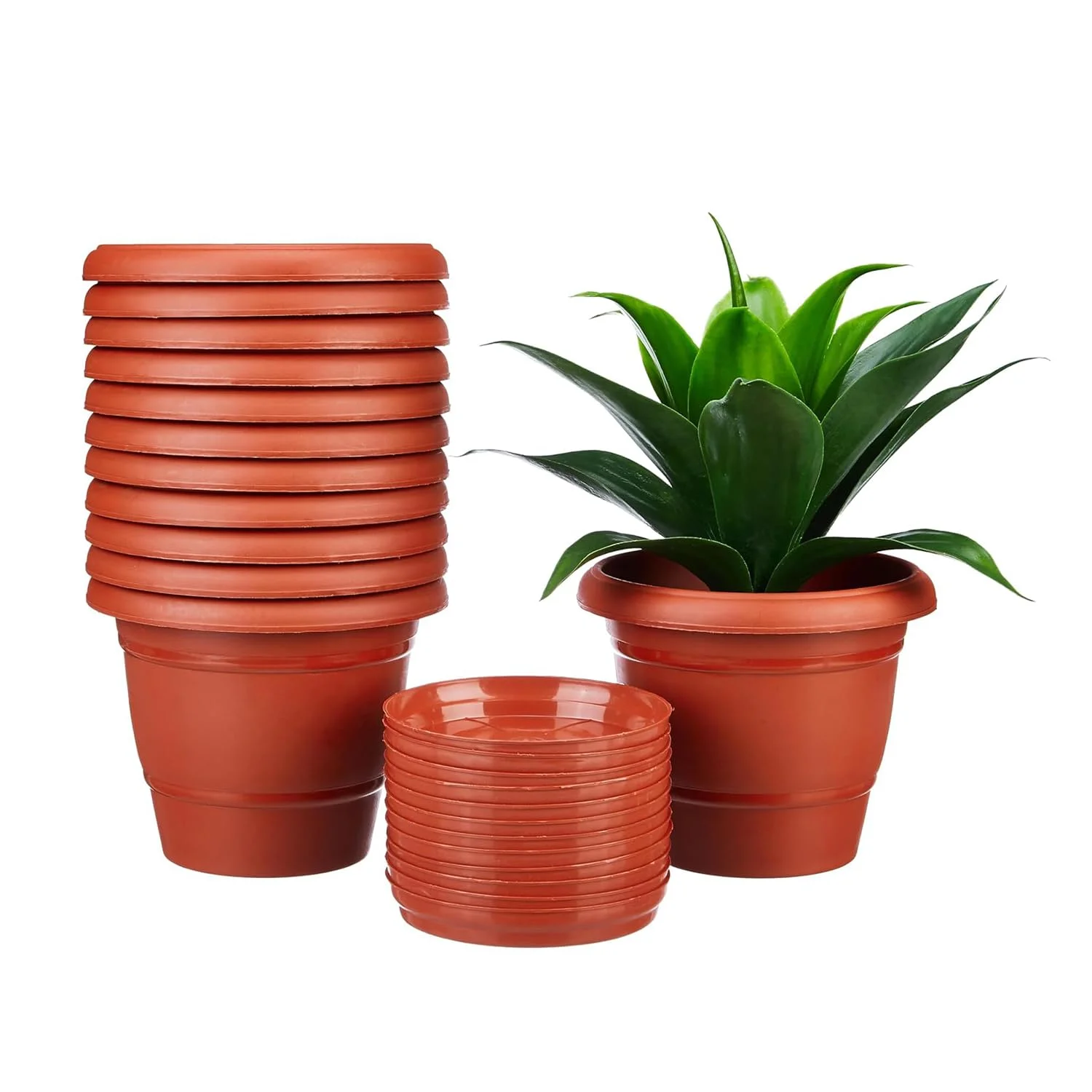 Amazon Brand - Solimo Round Pots for Plants with Bottom Tray|Lightweight|Indoor and Outdoor Flower Pot for Home/Office/Table/Garden/Balcony Decoration|8 inch (Set of 12), Brown
